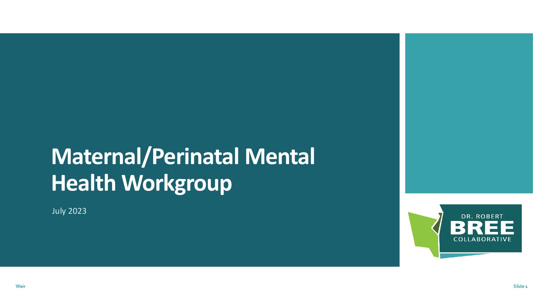 Bree- Maternal Mental Health Evidence Discussion – 23-0717